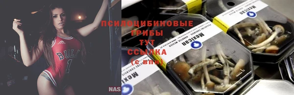 2c-b Алзамай