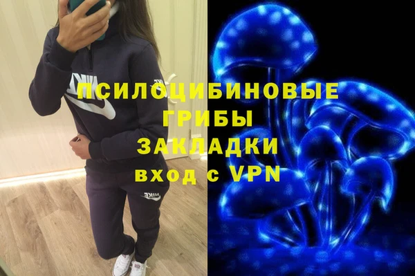 а пвп мука Алексеевка